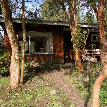 Cabanas El Bosque Patagonico Frutillar Bagian luar foto