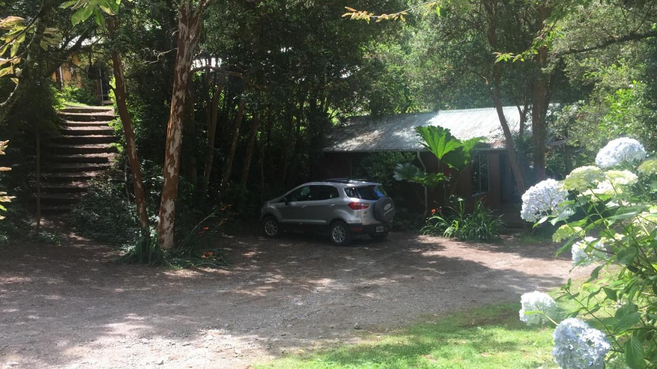 Cabanas El Bosque Patagonico Frutillar Bagian luar foto