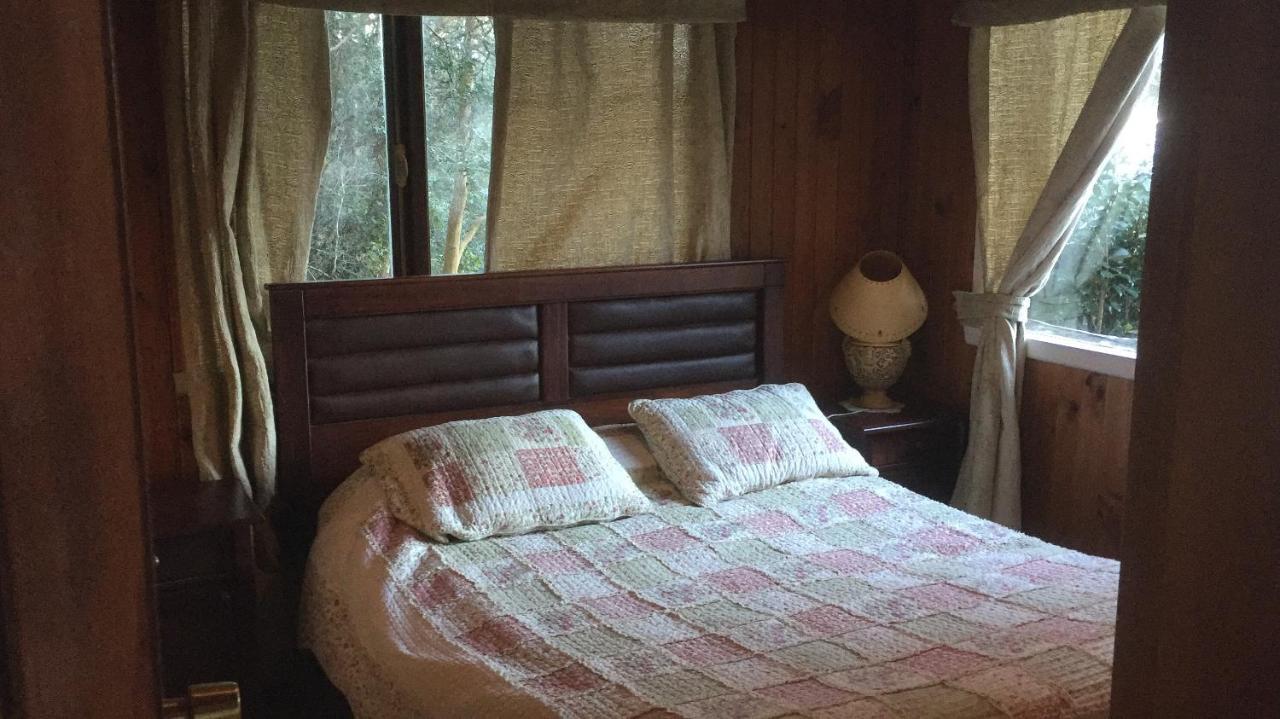 Cabanas El Bosque Patagonico Frutillar Bagian luar foto
